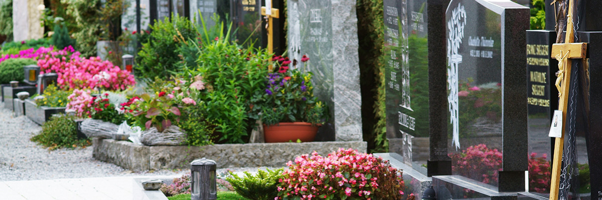 Dieses Bild zeigt einen Friedhof.