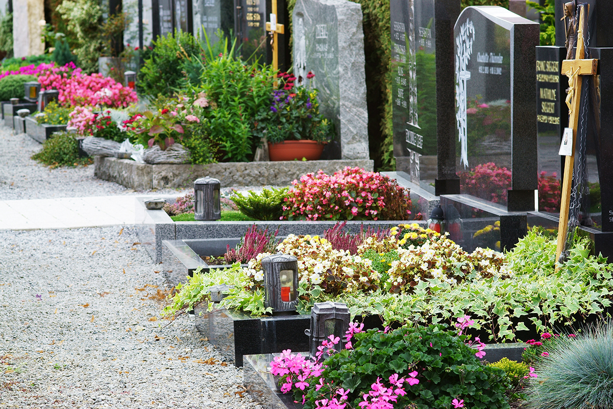 Friedhof - Grabpflege