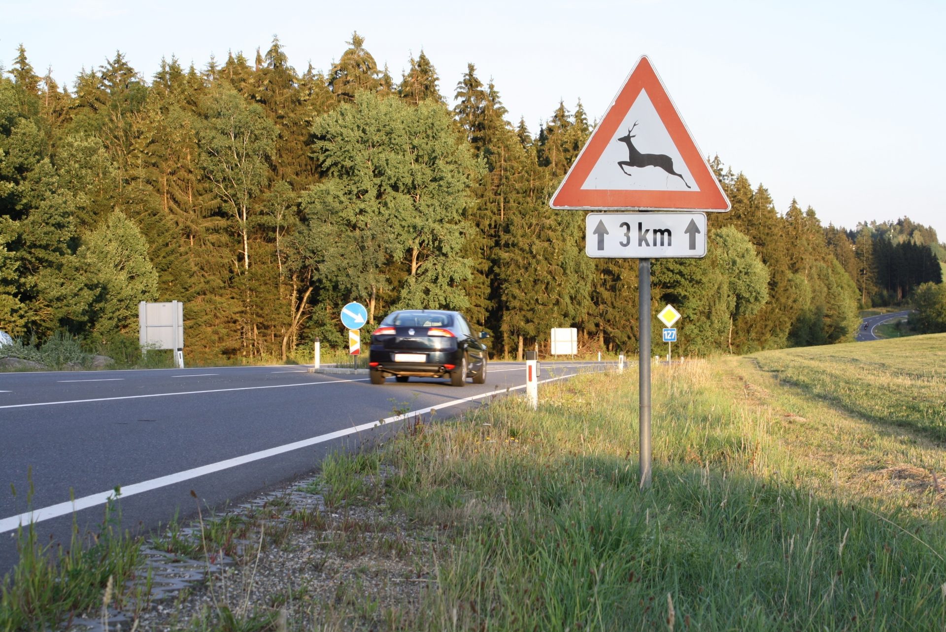 Achtung Wildwechsel!