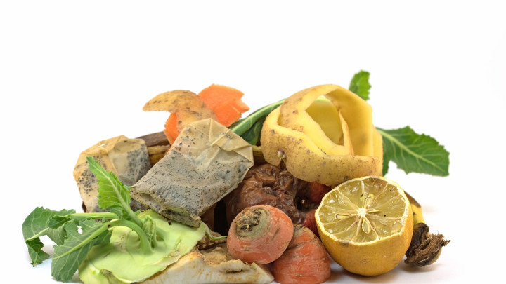 Biotonne und Bioabfall