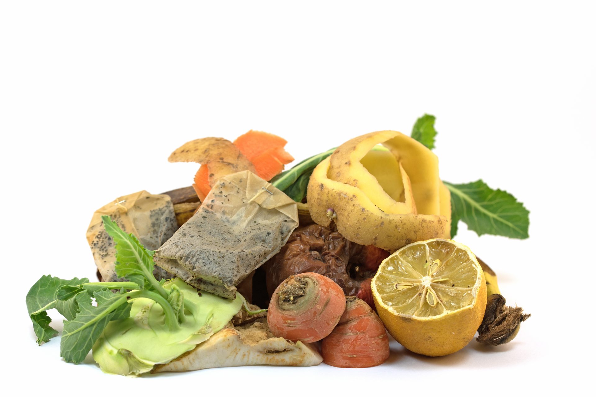 Biotonne und Bioabfall