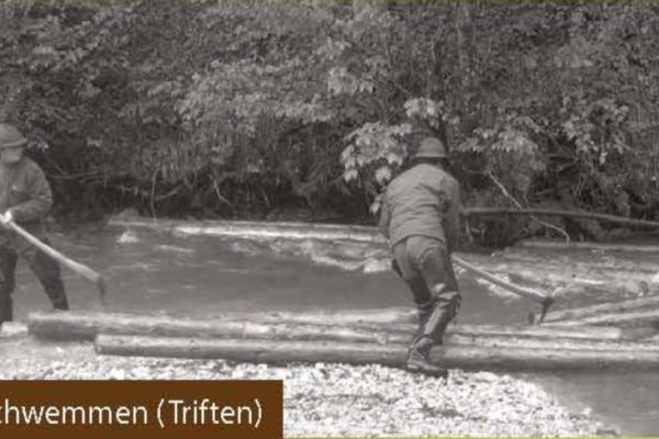 Historische Holztrift am Schwemmbach