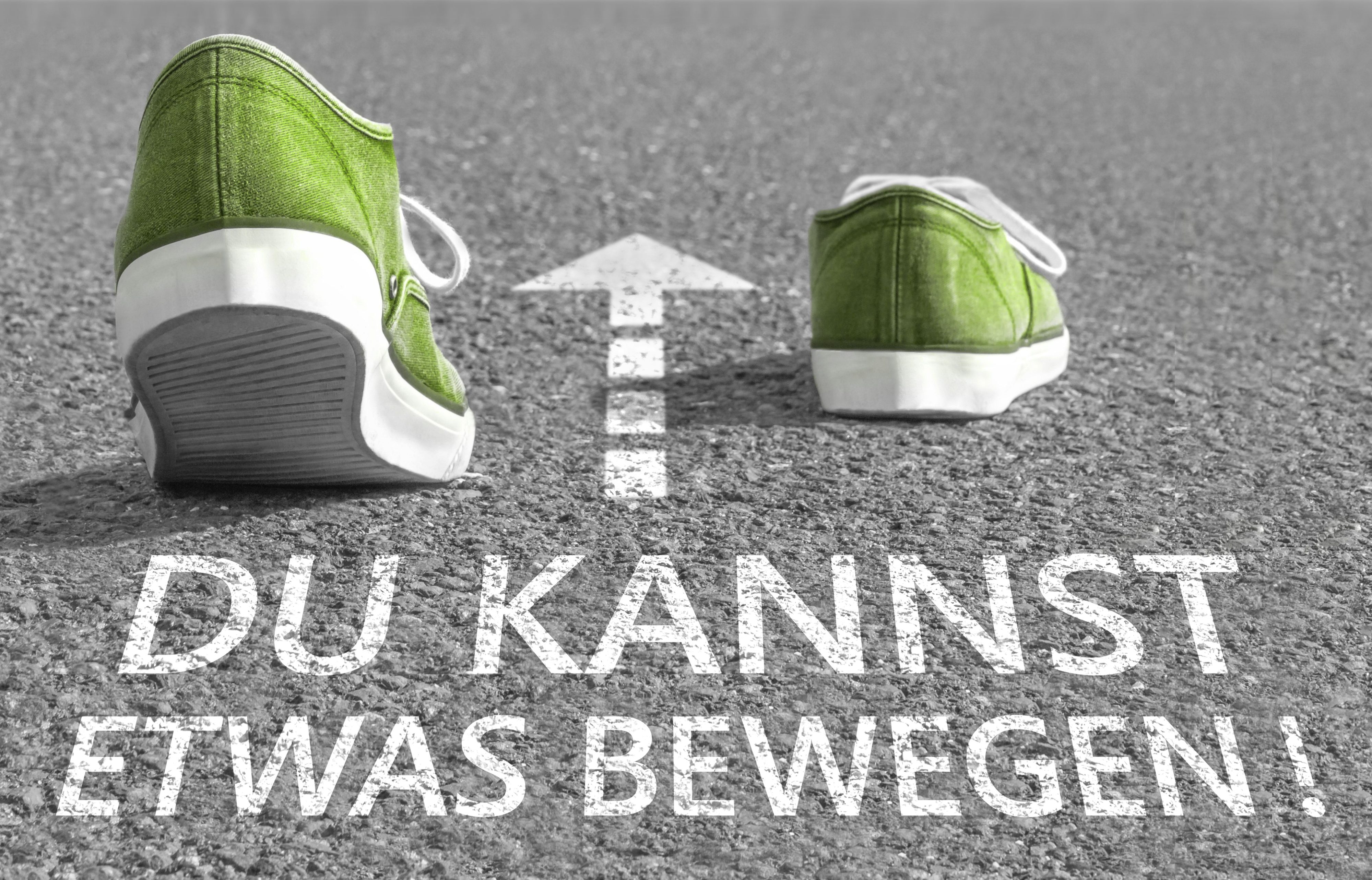 Aktuelle Unterstützungserklärungen
